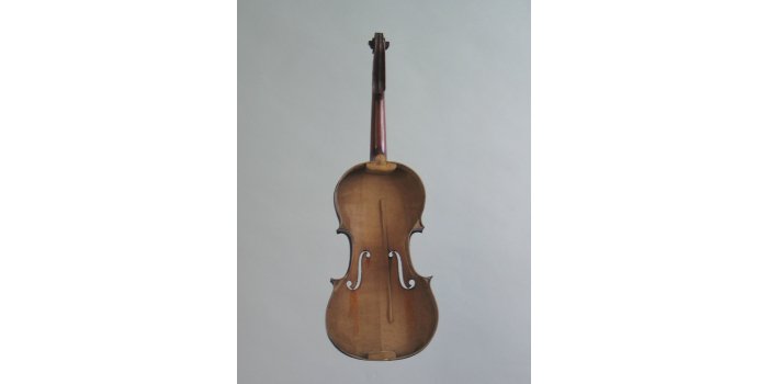 Violon