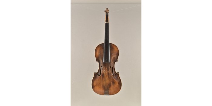 Violon