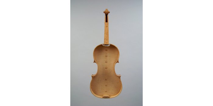 Violon