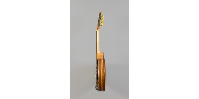 Banjo mandoline