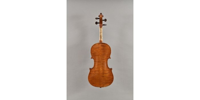 Violon