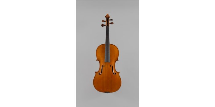 Violon