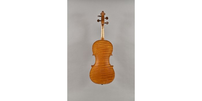 Violon