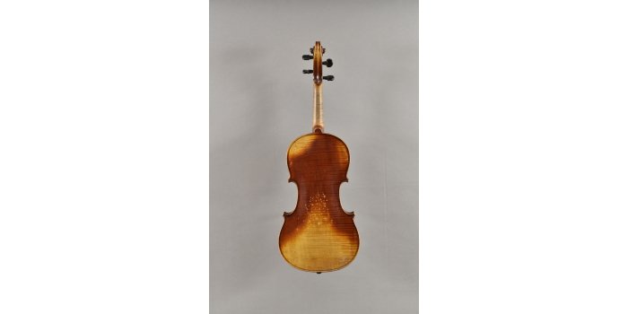 Violon