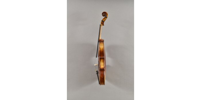 Violon