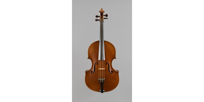 Violon basse