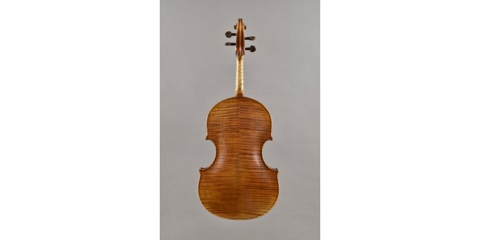 Violon basse