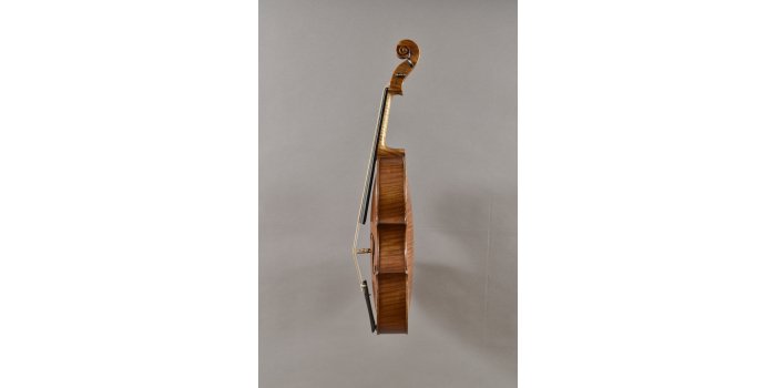 Violon basse