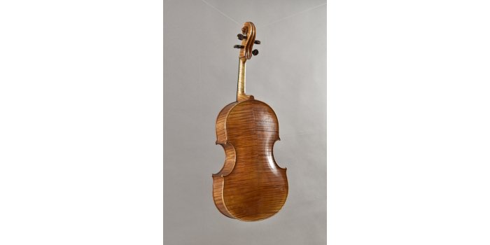 Violon basse