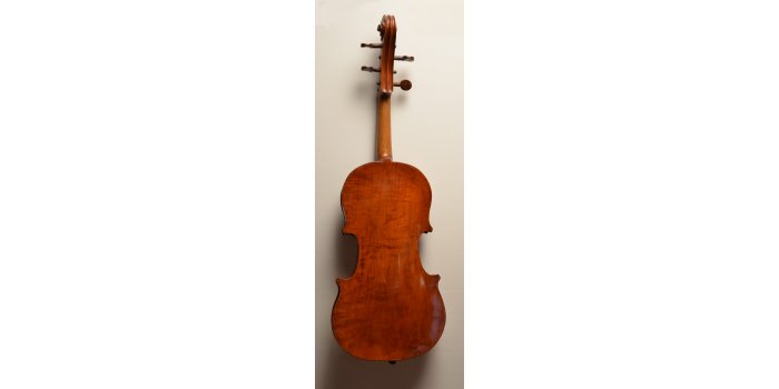 Violon