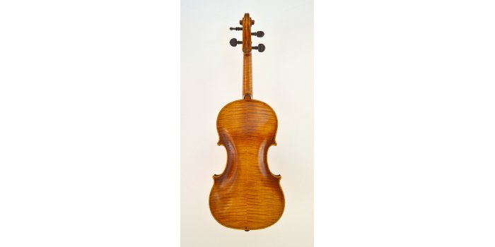 Violon