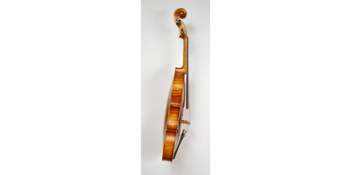 Violon