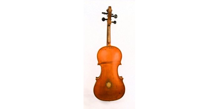 Violon