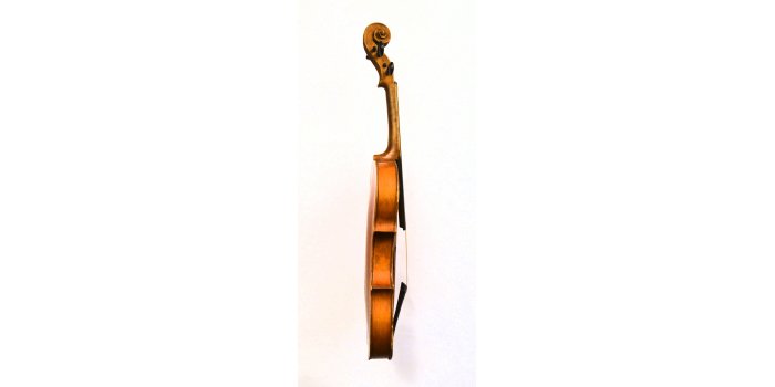 Violon