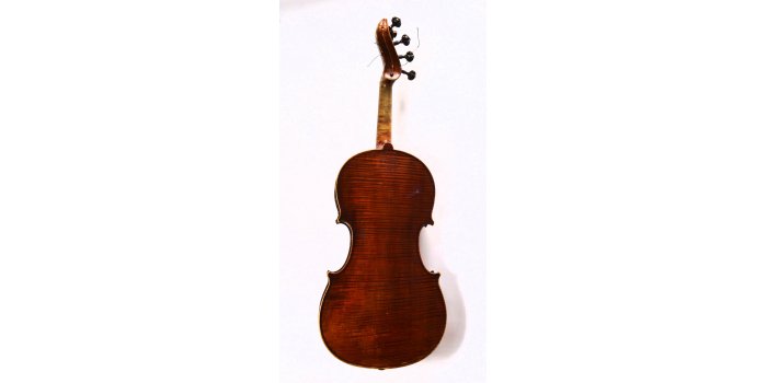 Violon