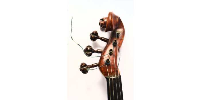 Violon