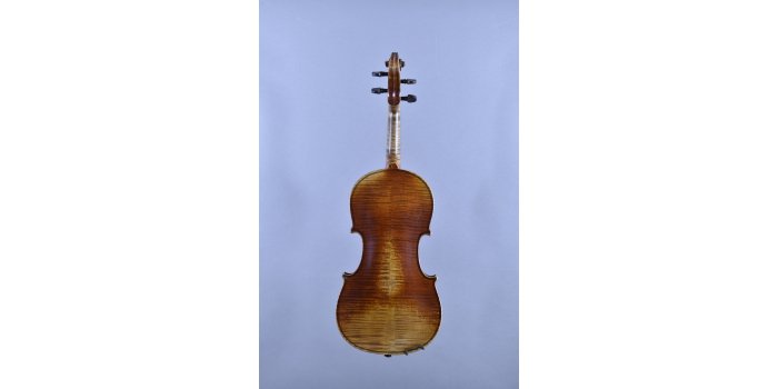 Violon