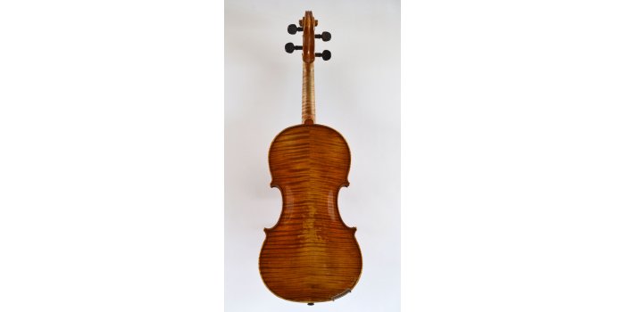 Violon