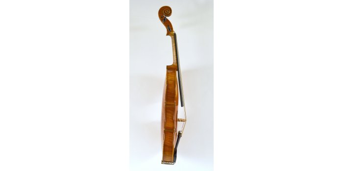 Violon