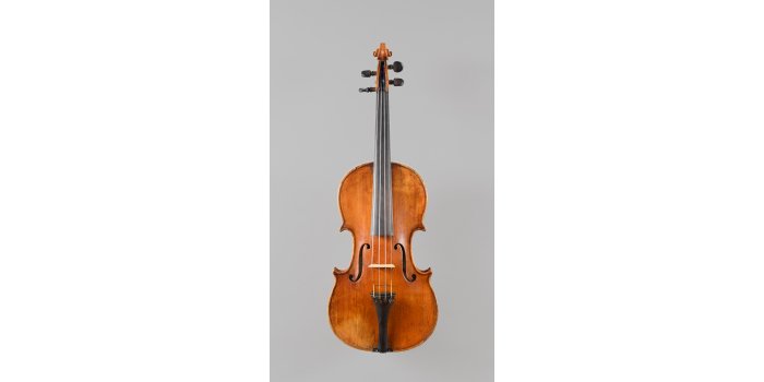 Violon