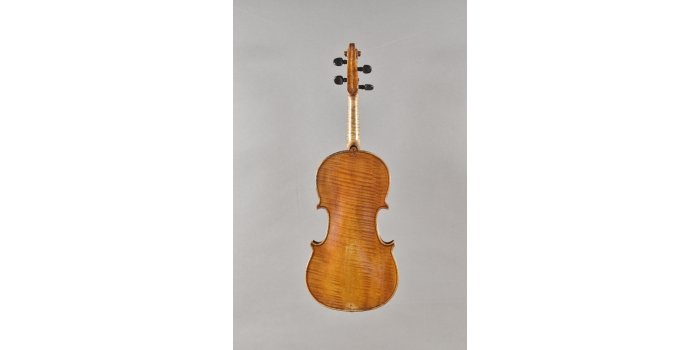 Violon