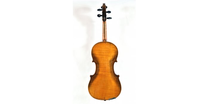 Violon