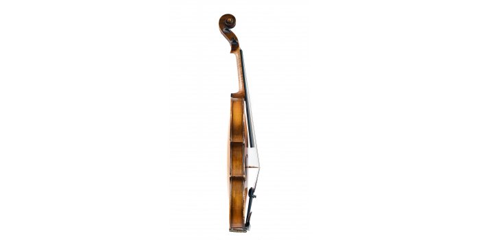 Violon