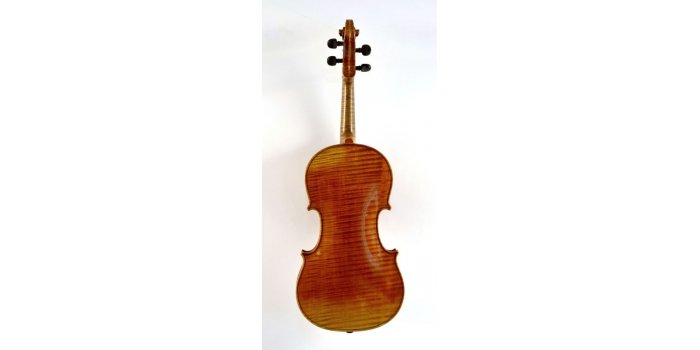 Violon