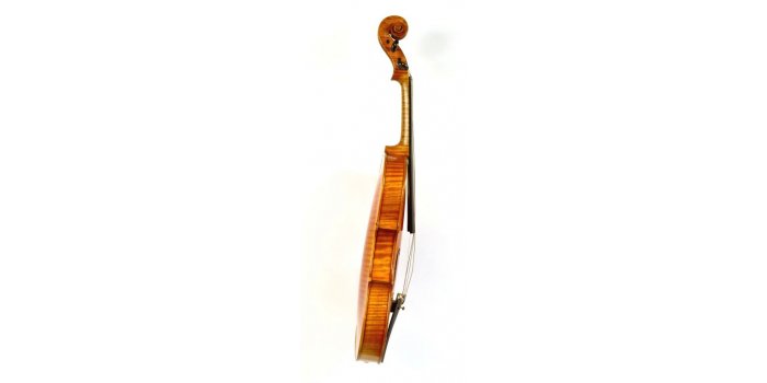 Violon